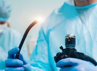 A Closer Look: Exploring Endoscopy in Dogs