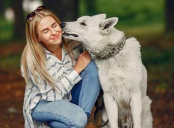 Love Languages of the Animal Kingdom: How Our Furry Friends Show Affection